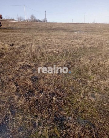 Продам ділянку в Бармаках